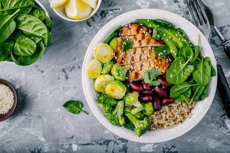  Stylized balanced nutrition plate with grains, vegetables, and protein sections